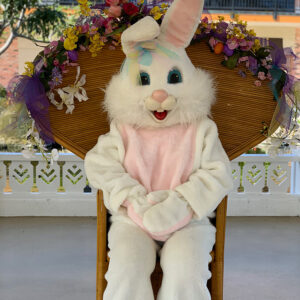 easter bunny sitting in a chair at the queens market place in waikoloa