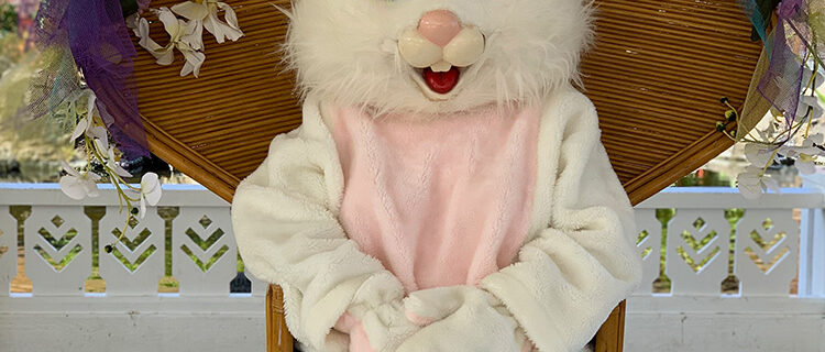 easter bunny sitting in a chair at the queens market place in waikoloa